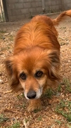 ZOR Image 3